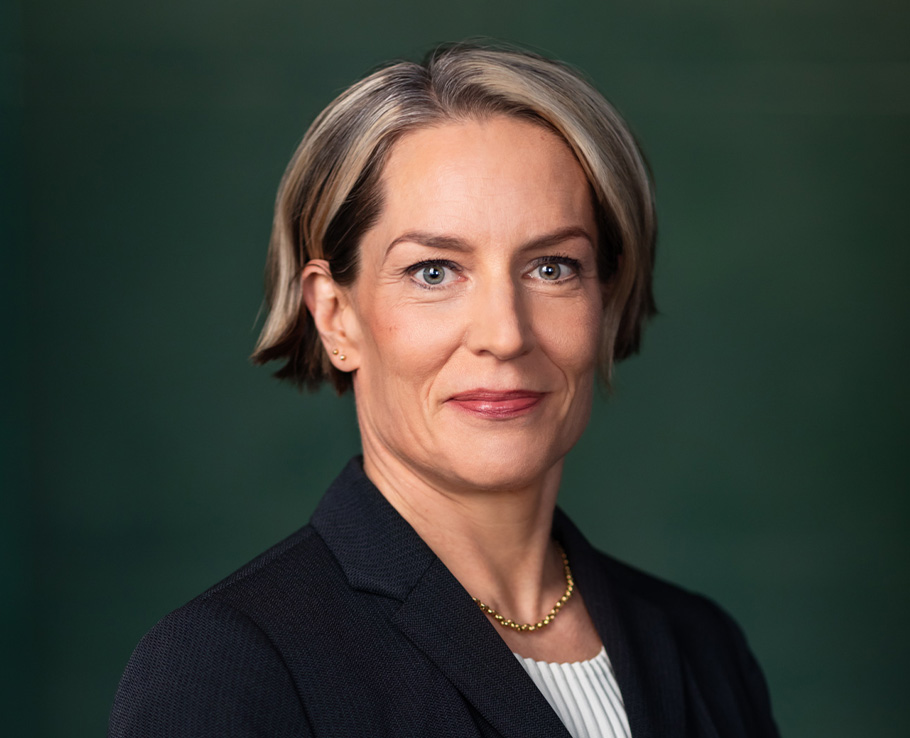 Sari Somerkallio, Hallituksen jäsen