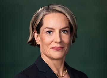 Sari Somerkallio, Hallituksen jäsen