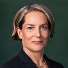 Sari Somerkallio, Hallituksen jäsen